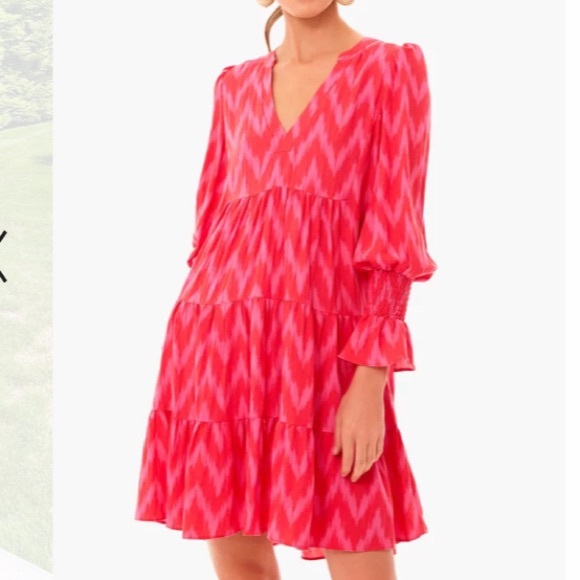 Hot Pink Ikat Kenzo Dress
POMANDER PLACE - Picture 3 of 12